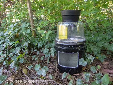 DIY trap to kill pregnant mosquitoes » Colin Purrington's blog