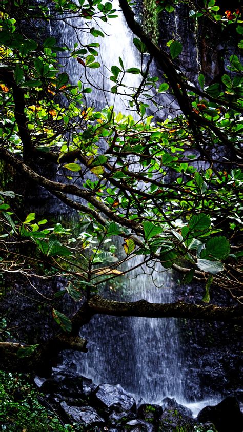 Free Images : tree, nature, waterfall, wilderness, wood, night, sunlight, river, stream, green ...