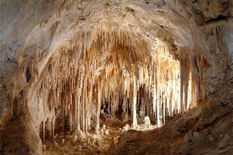 Carlsbad Caverns: Explore 119+ Caves & Desert Beauty | WNPA