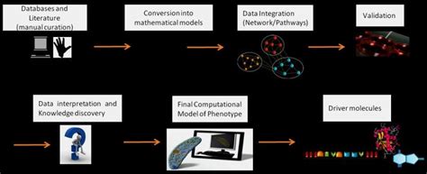 Systems biology approaches. The Systems Biology approaches typically ...