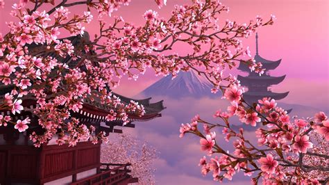 Sakura Wallpapers Images Photos Pictures Backgrounds