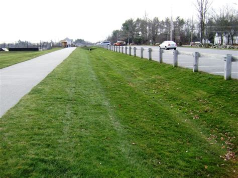 Image of a water quality swale