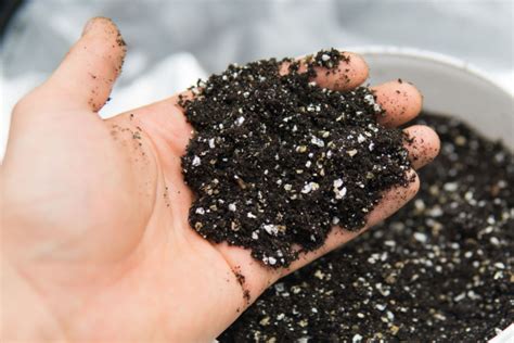 How To Make The Best Potting Soil Around - Without Peat Moss!