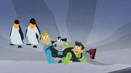 Mystery of the North Pole Penguins? | Wild Kratts Wiki | Fandom