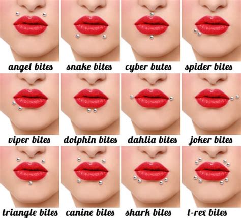 Different Types of Lip Piercing Ideas