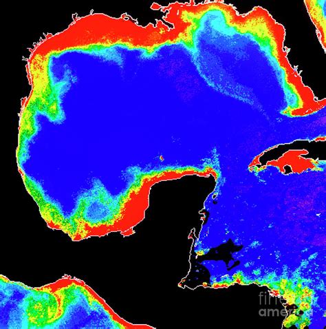 Phytoplankton In Gulf Of Mexico (satellite Image) Photograph by Dr Gene ...