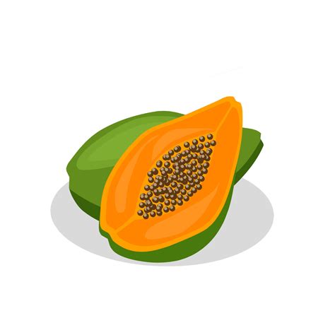 Papaya fruit illustration image. Papaya fruit icon, fruits 9195556 Vector Art at Vecteezy