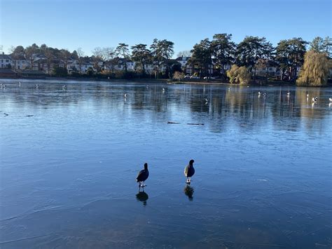 Roath Park Lake today : r/Cardiff