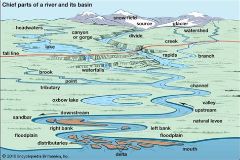 River Delta Diagram For Kids