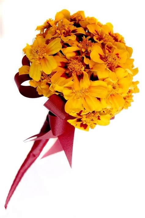 Marigold Posy | Gold bouquet, Posy, Marigold