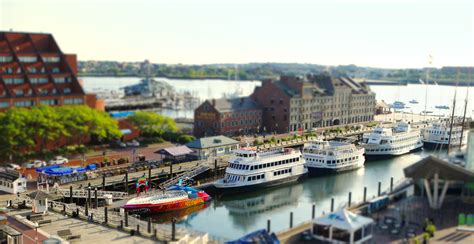 BOSTON HARBOR CRUISES | Boston Spotlite