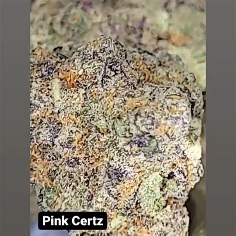 Strain Review: Pink Certz by The Gas Lady - The Highest Critic