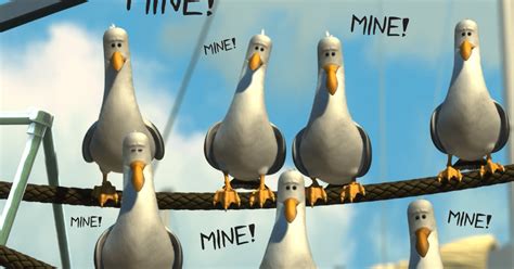 "Mine? Mine? Mine?" Seagulls | Ảnh | Lục Lọi Meme | Cộng đồng meme trực tuyến