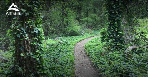 Best hikes and trails in Oak Cliff Nature Preserve | AllTrails