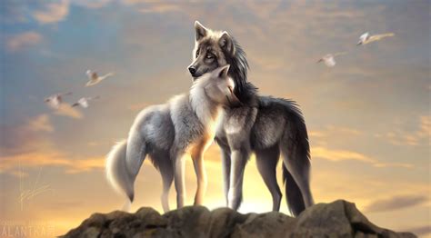 Wolves Wallpaper : 30 Wolf Backgrounds, Wallpapers, Images, Pictures | Design ... - Linap Rafo