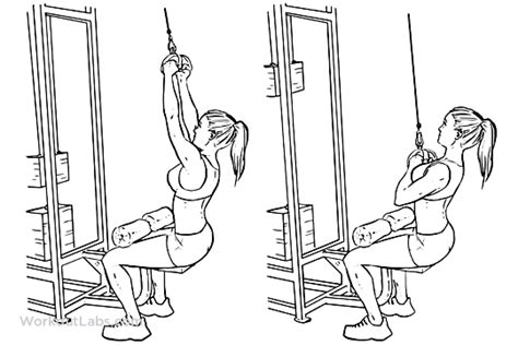 V-Bar / Triangle Bar Lat Pulldowns / Pull Downs / Pullovers | WorkoutLabs