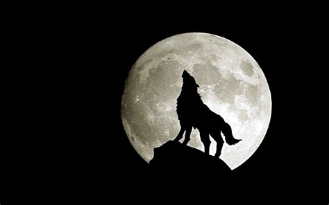 Wolf Moon - Fantasy Wallpaper (28637592) - Fanpop