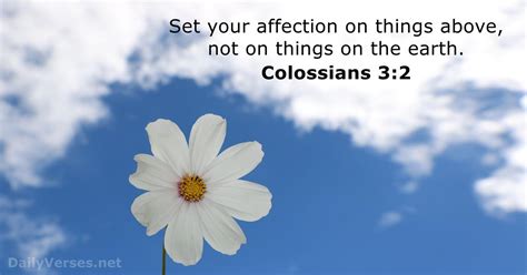 Colossians 3:2 - Bible verse (KJV) - DailyVerses.net