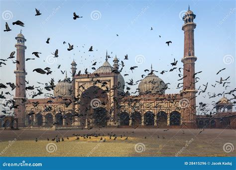 The Mosque Jama Masjid in Delhi Stock Photo - Image of asian ...