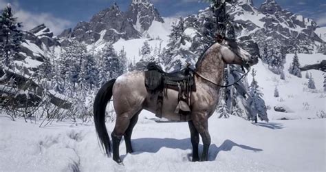 5 best horses in Red Dead Online