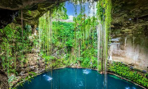 Conoce los 5 mejores Cenotes en Yucatán