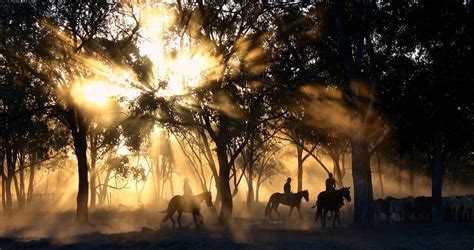 Clancy of The Overflow, a poem by Banjo Paterson at Spillwords.com