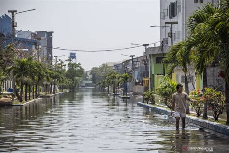 BMKG ingatkan banjir rob di pesisir utara Jawa - ANTARA News