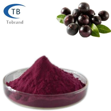 Acai Berry Extract Powder Manufacturers, Suppliers, Factory - Wholesale Price - TOBRAND