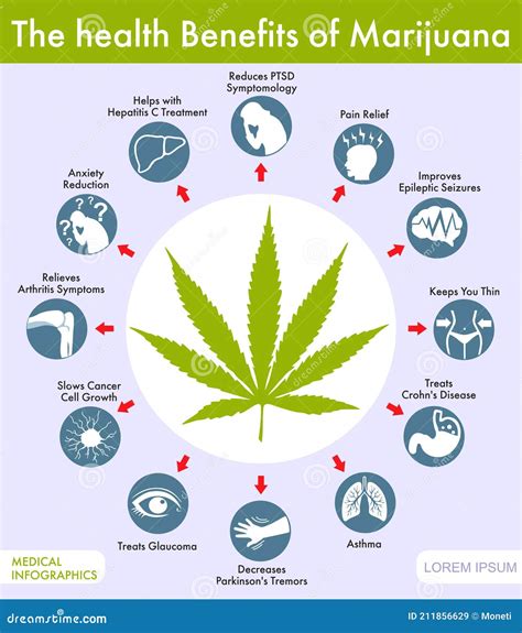 The Health Benefits of Marijuana. Infographic. Medical Marijuana Product. Marijuana Legalization ...