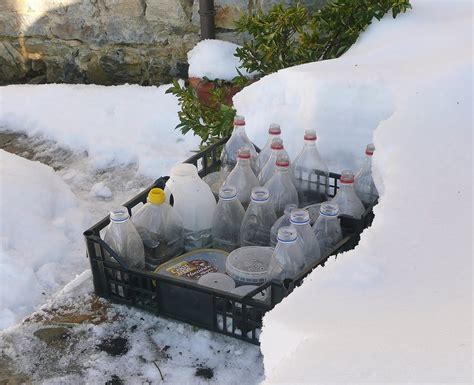 Winter sowing containers