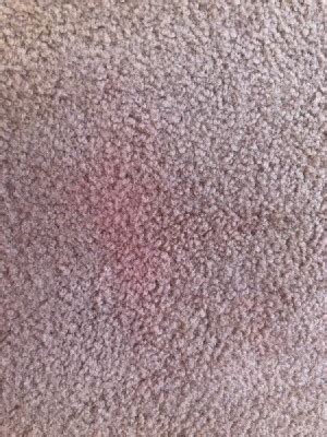 Removing a Red Kool Aid Stain from Carpet? | ThriftyFun