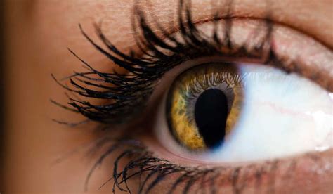 Genetic Clues in Uveal Coloboma - Vanderbilt Discover