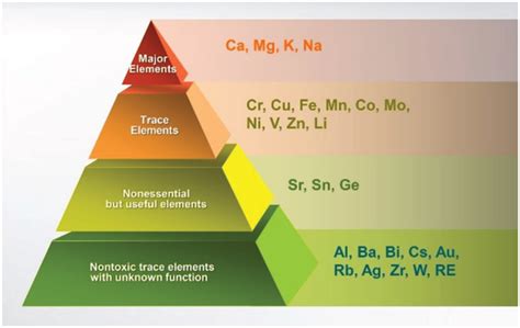 Classification of metallic elements in the human body. | Download ...