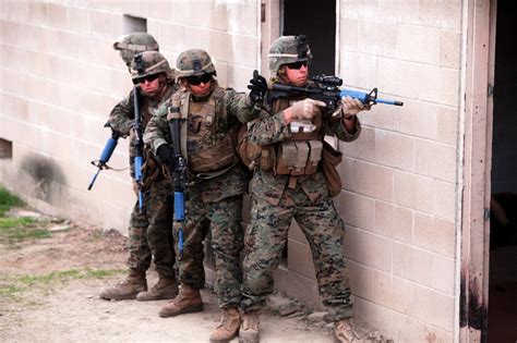 DVIDS - News - Special Operations Training Group prepares 2/1 Marines ...