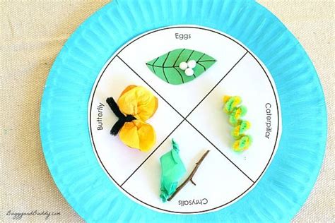 Butterfly Life Cycle Paper Plate Craft | Butterfly life cycle craft ...