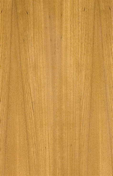 Natural Evergreen Veneers : : Teak Grain Less Natural Teak Veneer Texture, Teak Wood Texture ...