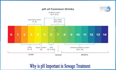 Why is pH important in sewage treatment