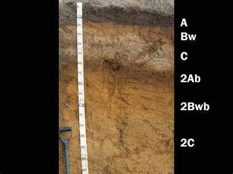 Andisols | Soil & Water Systems | University of Idaho