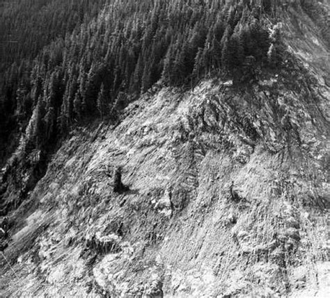 [Aftermath of Lituya Bay Earthquake, 1958.] :: Alaska State Library ...