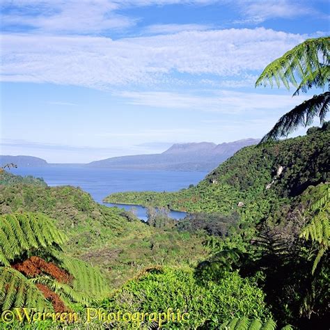 New Zealand scenery photo WP03063