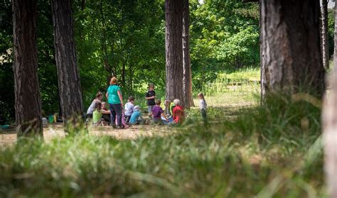 Children's woodland activities | The Mersey Forest