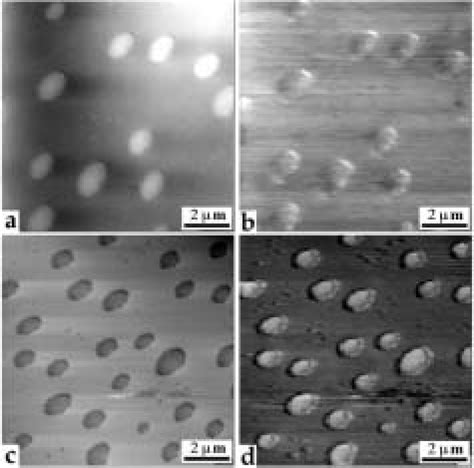 2.4: Images of a polymer blend at room temperatures and at... | Download Scientific Diagram