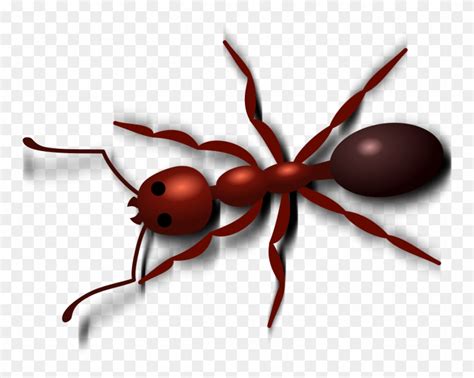 Ant Clipart Png - It can be downloaded in best resolution and used for design and web design ...