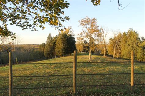 Pasture fencing install Part 1 - ofhorseandhome