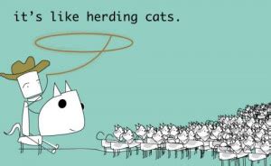 Herding Cats Quotes. QuotesGram