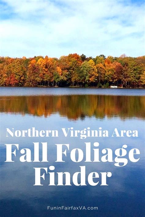 Northern Virginia Fall Foliage: Best Places to See Fall Colors In the Region