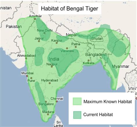 White Tiger Habitat Map