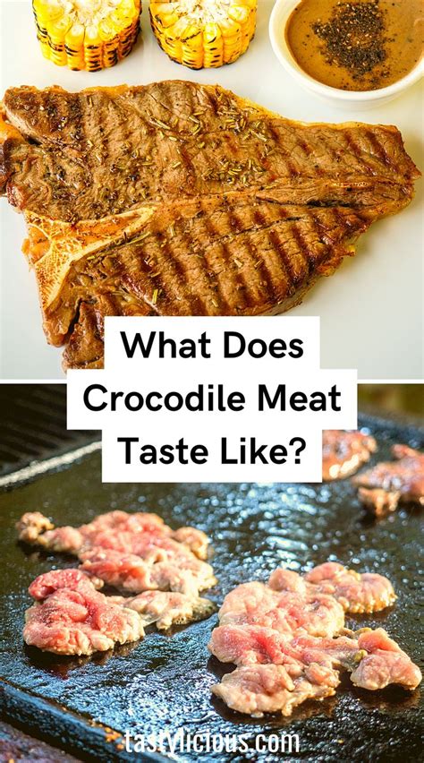 What Does Crocodile Meat Taste Like? | Tastylicious! | Alligator meat ...