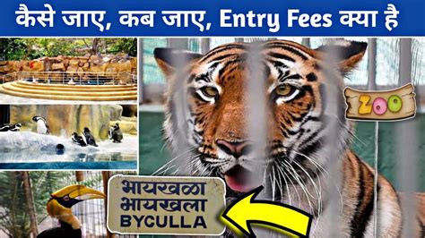 How to reach Byculla Zoo from Byculla Station | Veermata Jijabai ...