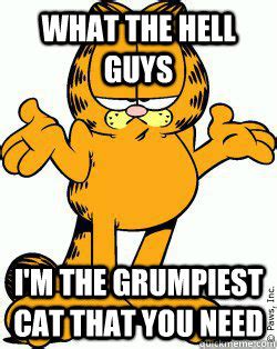 Garfield memes | quickmeme